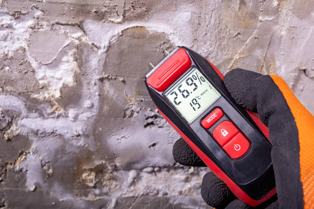 Best Office Mold Removal Services  in Southside, AR