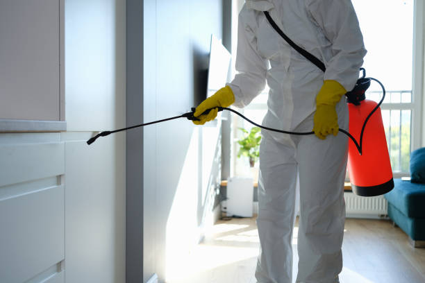 Office Mold Removal Services in Southside, AR